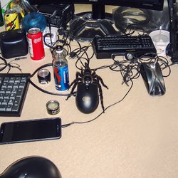 © ECAL/Visvaldas Morkevicius