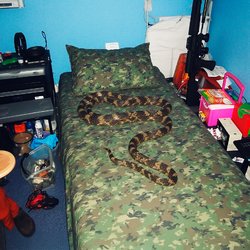 © Respective owners